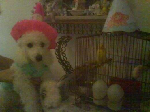 Luna festejando su cumple junto a Tweety